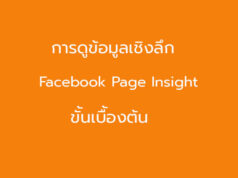 ข้อมูลเชิงลึกเพจ