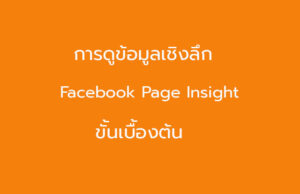 ข้อมูลเชิงลึกเพจ
