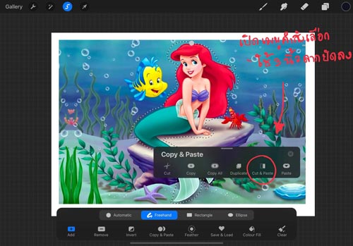 procreate ตัดต่อรูป